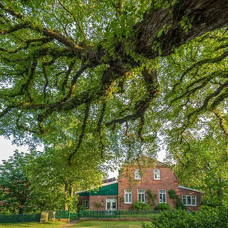 Huus Jan Holiday home