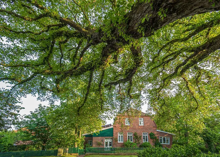 Huus Jan Дом отдыха